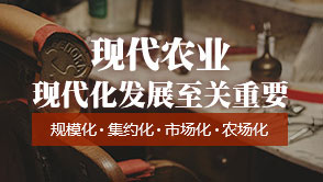 現代農業